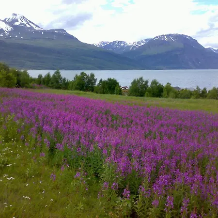 Haltinmaa